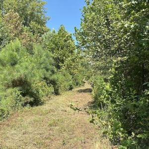 Photo #15 of SOLD property in Off White Oak Drive, Spring Grove, VA 102.0 acres