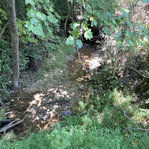 Photo #18 of SOLD property in Off White Oak Drive, Spring Grove, VA 102.0 acres