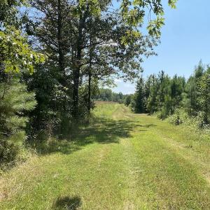Photo #23 of SOLD property in Off White Oak Drive, Spring Grove, VA 102.0 acres