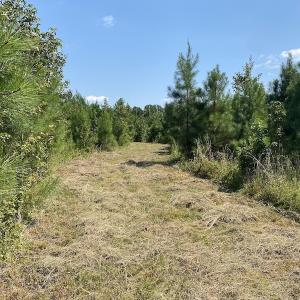 Photo #24 of SOLD property in Off White Oak Drive, Spring Grove, VA 102.0 acres
