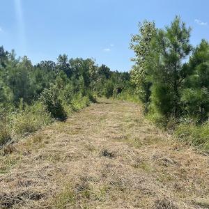 Photo #26 of SOLD property in Off White Oak Drive, Spring Grove, VA 102.0 acres