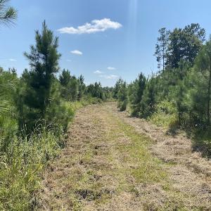 Photo #27 of SOLD property in Off White Oak Drive, Spring Grove, VA 102.0 acres