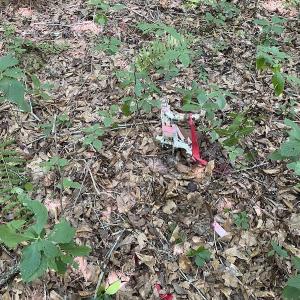 Photo #28 of SOLD property in Off White Oak Drive, Spring Grove, VA 102.0 acres