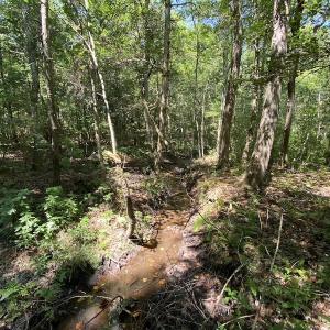 Photo #29 of SOLD property in Off White Oak Drive, Spring Grove, VA 102.0 acres