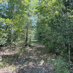 Photo #30 of SOLD property in Off White Oak Drive, Spring Grove, VA 102.0 acres