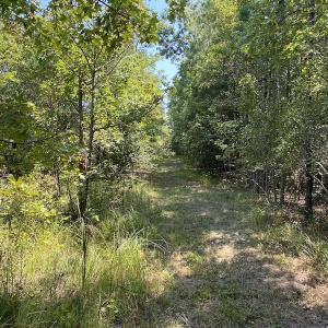 Photo #31 of SOLD property in Off White Oak Drive, Spring Grove, VA 102.0 acres