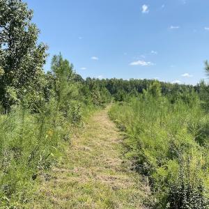 Photo #32 of SOLD property in Off White Oak Drive, Spring Grove, VA 102.0 acres