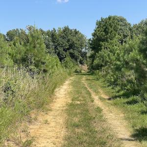 Photo #33 of SOLD property in Off White Oak Drive, Spring Grove, VA 102.0 acres