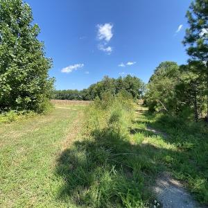 Photo #34 of SOLD property in Off White Oak Drive, Spring Grove, VA 102.0 acres