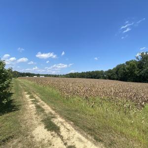 Photo #36 of SOLD property in Off White Oak Drive, Spring Grove, VA 102.0 acres
