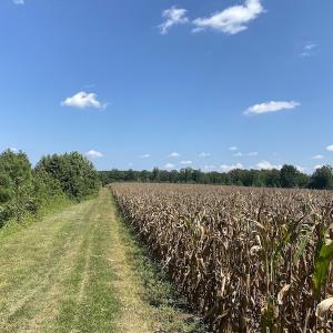 Photo #37 of SOLD property in Off White Oak Drive, Spring Grove, VA 102.0 acres