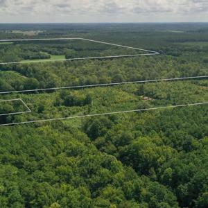 Photo #22 of SOLD property in 12171 Old Belfield Road, Capron, VA 140.0 acres
