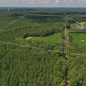 Photo #23 of SOLD property in 12171 Old Belfield Road, Capron, VA 140.0 acres
