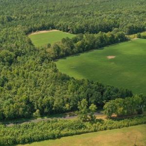 Photo #25 of SOLD property in 12171 Old Belfield Road, Capron, VA 140.0 acres