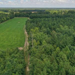 Photo #26 of SOLD property in 12171 Old Belfield Road, Capron, VA 140.0 acres