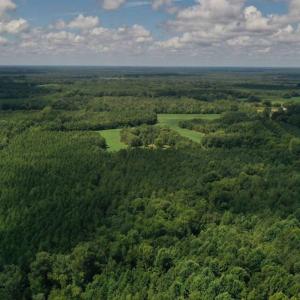Photo #27 of SOLD property in 12171 Old Belfield Road, Capron, VA 140.0 acres
