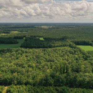 Photo #29 of SOLD property in 12171 Old Belfield Road, Capron, VA 140.0 acres
