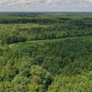 Photo #30 of SOLD property in 12171 Old Belfield Road, Capron, VA 140.0 acres