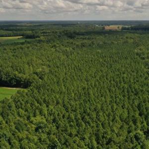 Photo #31 of SOLD property in 12171 Old Belfield Road, Capron, VA 140.0 acres