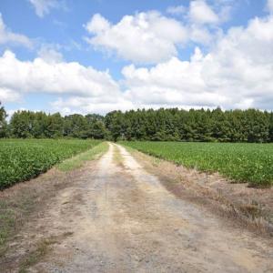 Photo #32 of SOLD property in 12171 Old Belfield Road, Capron, VA 140.0 acres