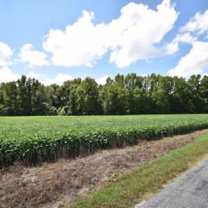 Photo #34 of SOLD property in 12171 Old Belfield Road, Capron, VA 140.0 acres