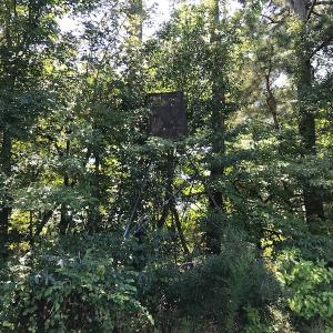Photo #38 of SOLD property in 12171 Old Belfield Road, Capron, VA 140.0 acres