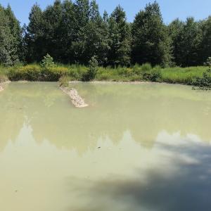 Photo #40 of SOLD property in 12171 Old Belfield Road, Capron, VA 140.0 acres