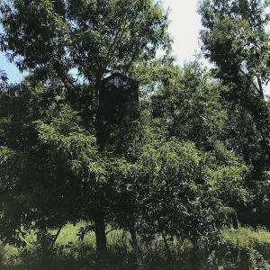 Photo #42 of SOLD property in 12171 Old Belfield Road, Capron, VA 140.0 acres