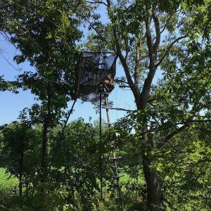 Photo #43 of SOLD property in 12171 Old Belfield Road, Capron, VA 140.0 acres