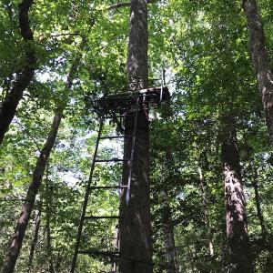 Photo #44 of SOLD property in 12171 Old Belfield Road, Capron, VA 140.0 acres