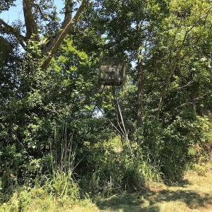 Photo #45 of SOLD property in 12171 Old Belfield Road, Capron, VA 140.0 acres