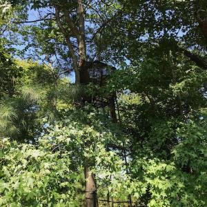 Photo #49 of SOLD property in 12171 Old Belfield Road, Capron, VA 140.0 acres