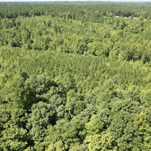 Photo #10 of SOLD property in 4118 Burkeville Road, Victoria, VA 227.8 acres