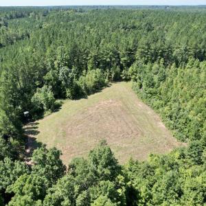 Photo #11 of SOLD property in 4118 Burkeville Road, Victoria, VA 227.8 acres