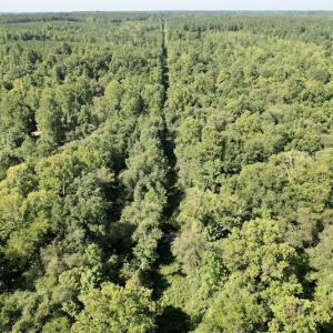 Photo #12 of SOLD property in 4118 Burkeville Road, Victoria, VA 227.8 acres