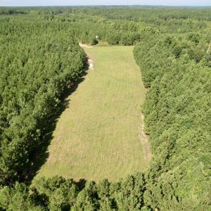 Photo #13 of SOLD property in 4118 Burkeville Road, Victoria, VA 227.8 acres