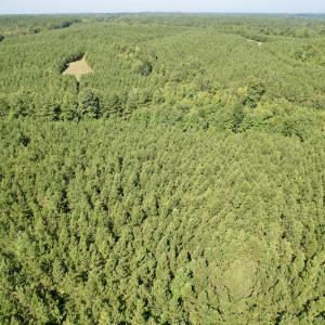 Photo #14 of SOLD property in 4118 Burkeville Road, Victoria, VA 227.8 acres