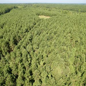 Photo #15 of SOLD property in 4118 Burkeville Road, Victoria, VA 227.8 acres