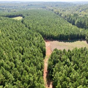 Photo #16 of SOLD property in 4118 Burkeville Road, Victoria, VA 227.8 acres