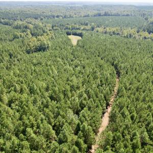 Photo #17 of SOLD property in 4118 Burkeville Road, Victoria, VA 227.8 acres
