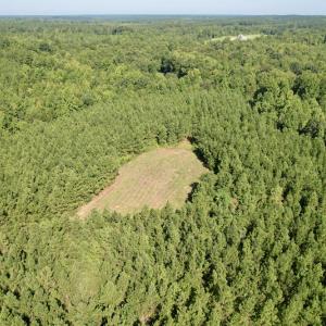 Photo #18 of SOLD property in 4118 Burkeville Road, Victoria, VA 227.8 acres