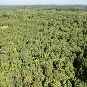 Photo #19 of SOLD property in 4118 Burkeville Road, Victoria, VA 227.8 acres
