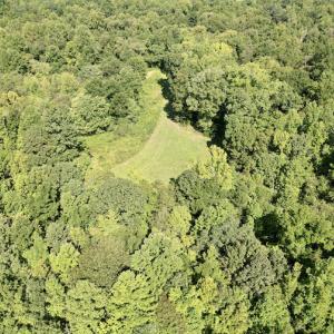 Photo #20 of SOLD property in 4118 Burkeville Road, Victoria, VA 227.8 acres
