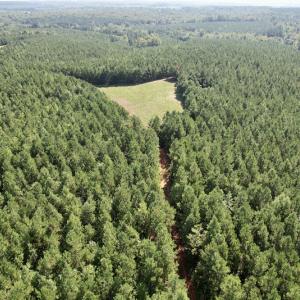 Photo #21 of SOLD property in 4118 Burkeville Road, Victoria, VA 227.8 acres