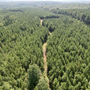 Photo #22 of SOLD property in 4118 Burkeville Road, Victoria, VA 227.8 acres