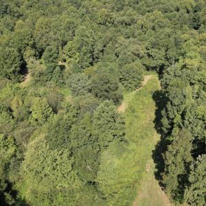 Photo #23 of SOLD property in 4118 Burkeville Road, Victoria, VA 227.8 acres