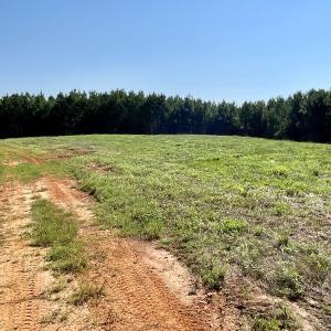 Photo #25 of SOLD property in 4118 Burkeville Road, Victoria, VA 227.8 acres