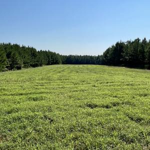 Photo #26 of SOLD property in 4118 Burkeville Road, Victoria, VA 227.8 acres