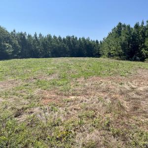 Photo #27 of SOLD property in 4118 Burkeville Road, Victoria, VA 227.8 acres