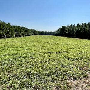 Photo #28 of SOLD property in 4118 Burkeville Road, Victoria, VA 227.8 acres